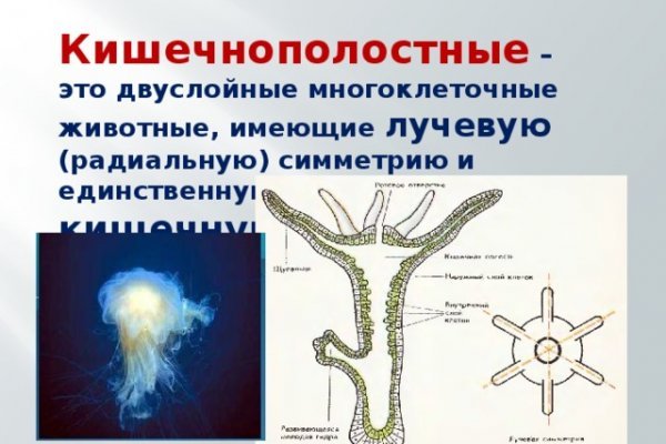 Не получается зайти на кракен