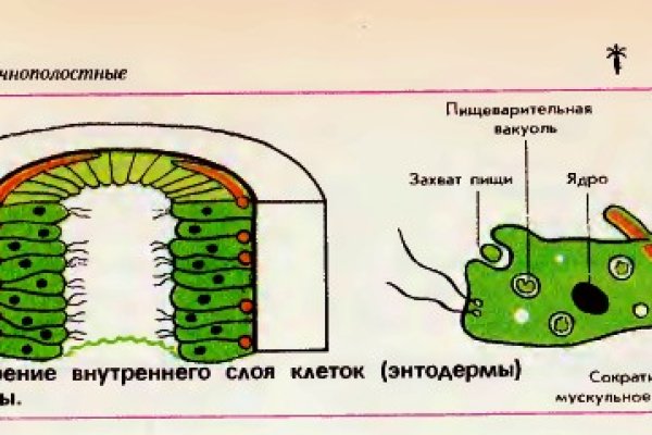 Не зачисляются деньги на кракен