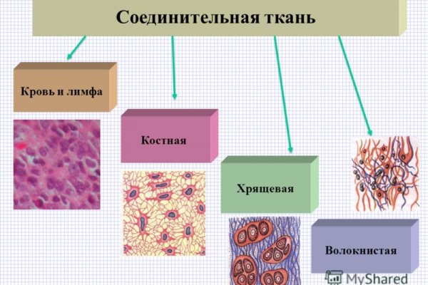 Кракен сайт ссылка тор браузере