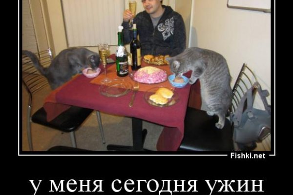 Даркнет ссылка