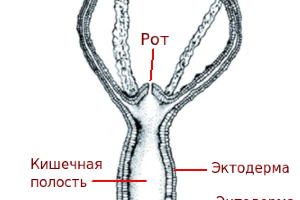 Кракен 15at