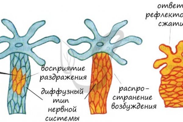 Сайт кракен россия