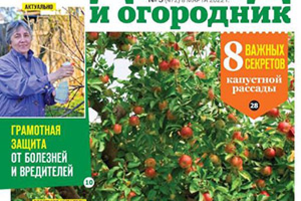 Кракен маркетплейс как зайти